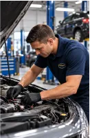 local expertise global standards